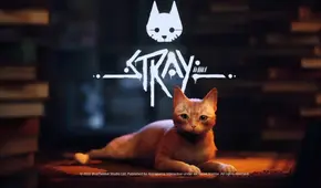 Stray, el juego que te hace vivir como un gatito sin hogar, llega en julio y así puedes tenerlo gratis