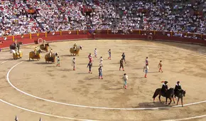 Acho volverá a ser una plaza de toros: ¿qué opinan las asociaciones antitaurinas?