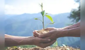Desafíos del periodismo ambiental