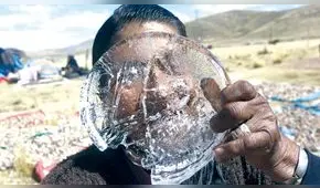 Heladas en el sur serán tratadas en sesión extraordinaria de Consejo de Ministros