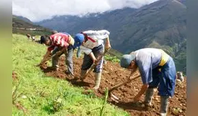 Congreso aprueba rescate financiero a pequeños agricultores con créditos vencidos en Agrobanco