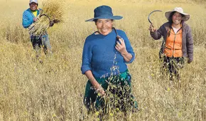 Congreso: refinanciarán las deudas vencidas de agricultores con Agrobanco