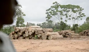 Amazonas: taladores y mineros ilegales tienen en la mira a líderes wampis