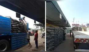 Tacna: 150 toneladas de guano de isla para agricultores ante alza de fertilizantes