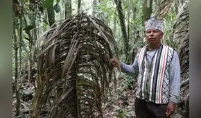 Pueblos indígenas en aislamiento y contacto inicial en riesgo por culpa de minería y tala 