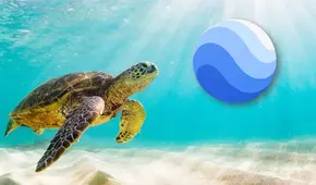 Google Earth: así podrás visitar el fondo marino desde tu smartphone o computadora