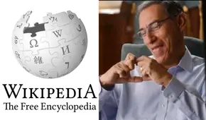 “Mi bebito fiu fiu” ya cuenta con su propio artículo en Wikipedia