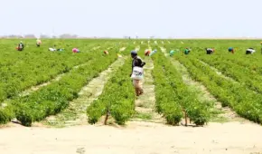 Conajup: cerca de 500.000 agricultores participarán del paro agrario de este 18 y 19 de julio