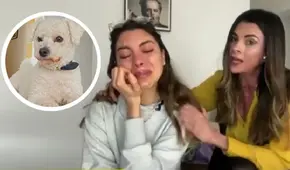 Hija de Fiorella Rodríguez lloró por su perrito perdido: “Se me parte el corazón”