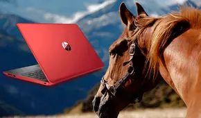 ¿Cuál es el verdadero significado de la marca HP y por qué muchos lo confunden con caballos?