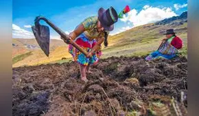 Bono Wanuchay: amplían hasta el 31 de diciembre plazo para el cobro del subsidio