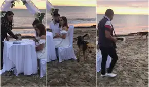 Perrito irrumpe en boda celebrada en la playa, orina las sillas de los recién casados y huye