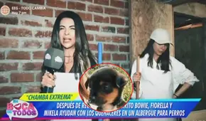 Fiorella Rodríguez y su hija hacen labor social ayudando a albergue que tiene más de 100 perritos