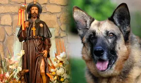 ¿Quién fue San Roque y por qué se le considera el santo de los perros?