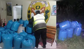 Cusco: hallaron 300 kilos de hoja de coca camuflados en arbustos en Camanti 