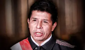 ¿Cómo llegamos a “esto”?, por Cecilia Méndez