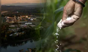 Una planta de urea en el Perú: ¿qué se necesita para producir este fertilizante en el país?