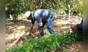 Más de 115.000 agricultores se dedican a la producción orgánica