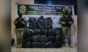 PNP incauta 270 kilogramos de hojas de coca durante operativo en Ica 