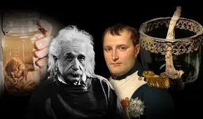 El pene de Napoleón y el cerebro de Einstein: los tesoros más raros que guarda la historia
