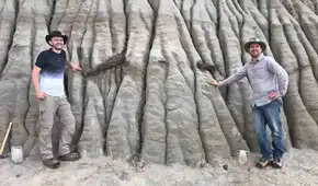 Encuentran en Canadá fósil de dinosaurio que aún conserva la piel