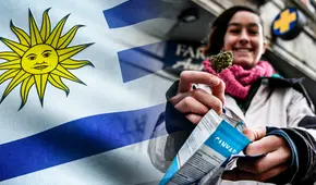 ¿Cómo Uruguay se convirtió en el primer país del mundo en legalizar la marihuana?