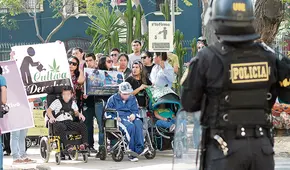 Ha pasado un año y aún no reglamentan la ley del cannabis