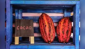 Exportaciones de cacao y chocolate peruano superaron los US$ 192 millones hasta julio 