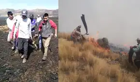 Cusco: incendio forestal acaba con la vida de 60 vicuñas 