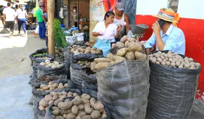 Midagri: incremento en el precio de la papa “responde más a factores netamente especulativos”