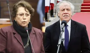 Gladys Echaíz: “Los miembros de la OEA no están informados de lo que pasa en cada país”