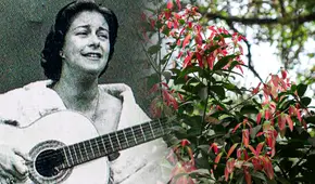 “La flor de la canela”: ¿qué significa esta peculiar frase que inspiró varias canciones?