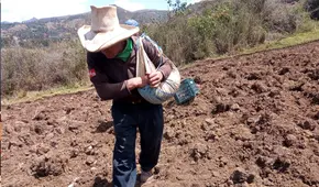 Crisis llevó a cerrar campaña agrícola en rojo