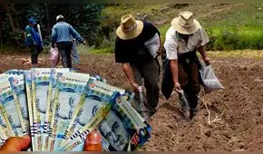 Bono FertiAbono 2023: conoce el LINK oficial y revisa si te corresponde este apoyo económico