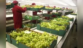 Midagri: El 35% de las agroexportaciones estaría en riesgo por protestas