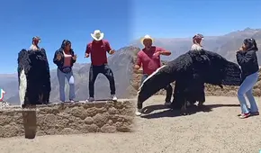 ‘Cóndor humano del Colca’ baila al ritmo de Calm Down y se hace viral en TikTok