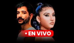 Viña del Mar 2023 por Canal 13 y TVN Chile: cómo ver la TRANSMISIÓN GRATIS ONLINE