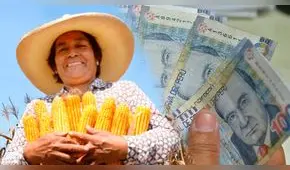 Bono Agrario 2023: ¿cuál es el LINK oficial para consultar si soy beneficiario y cuándo puedo cobrar?