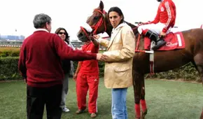 Es todo un pura sangre