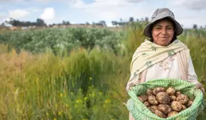 FertiAbono II se paga desde el 3 de marzo: ¿cuál es el monto y quienes serán beneficiarios?