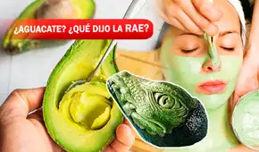 ¿Aguacate, palta o avocado? Estos son los más de 10 nombres que posee el oro verde ¿Aguacate, palta o avocado? Estos son los más de 10 nombres que posee el oro verde
