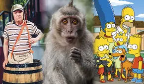 "Matanga dijo la changa": el oscuro origen de la frase que replicó "El Chavo del 8" y "Los Simpson"