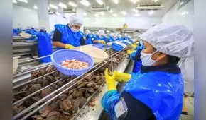 Tercerización laboral: Indecopi suspende procedimiento de barrera burocrática respecto del decreto del MTPE