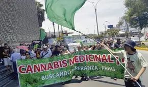 Reglamento del Minsa no beneficia a los usuarios del cannabis medicinal