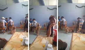 Perrito sorprende al pedir comida de curiosa manera en un restaurante y conmueve a usuarios