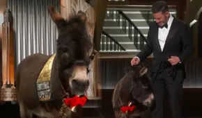 Premios Oscar 2023: un burrito sorprende al aparecer en vivo en la gala de Hollywood