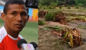 "Solo queda rogar": cultivos de 'Periquito' Chiroque y su padre son afectados por lluvias en Piura
