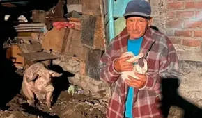 Lurigancho-Chosica: ciudadano de 88 años se quedó solo con mascotas tras perderlo todo en huaico