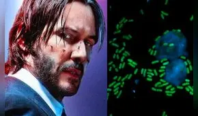 Keanumicinas: ¿qué son y cuál es su relación con el actor Keanu Reeves y la ciencia?