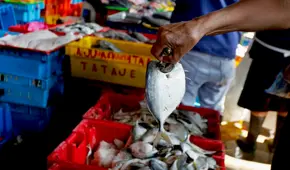 Terminal pesquero Callao: hacen largas colas de 2 horas para comprar bonito, tilapia, pota y más